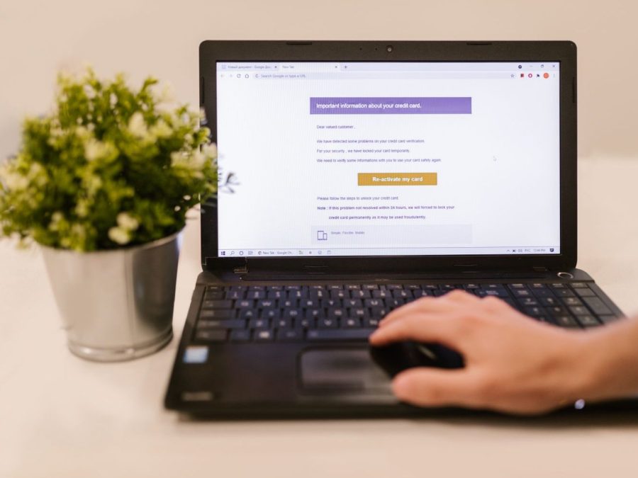 Persoană care citește un e-mail pe laptop, lângă o plantă