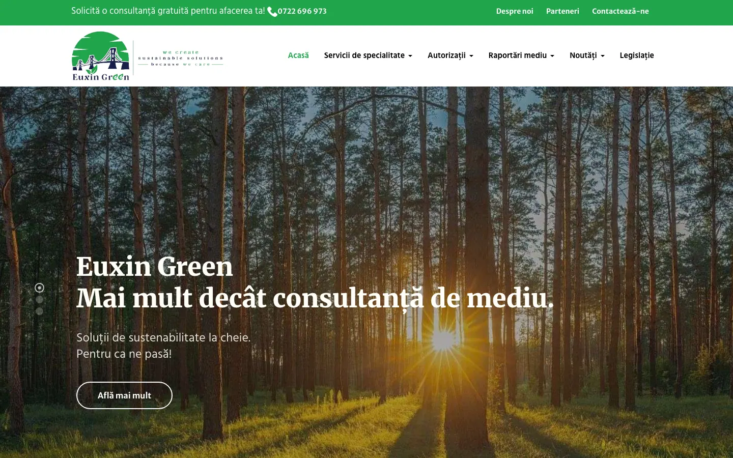 Captură de ecran a site-ului Euxin Green, pagina principală