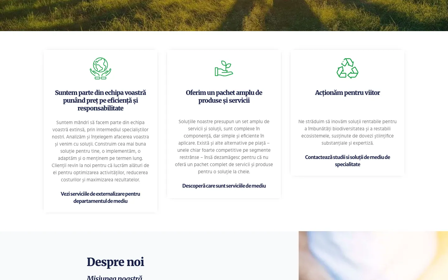 Captură de ecran a site-ului Euxin Green, continuarea paginii principale