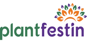 Logo Plant Festin